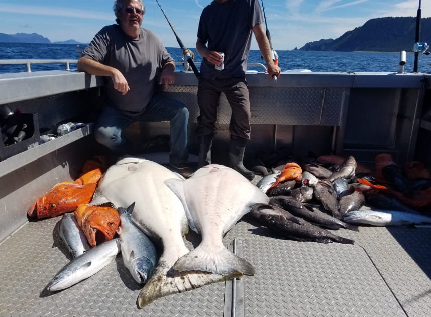 halibut fishing charters