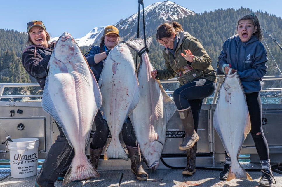 halibut fishing charters