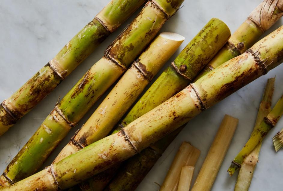 Sugar cane in Australia